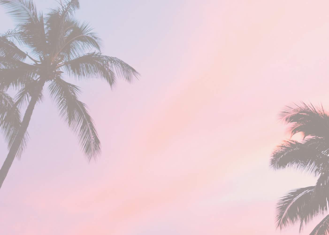 Sunset palm tree background